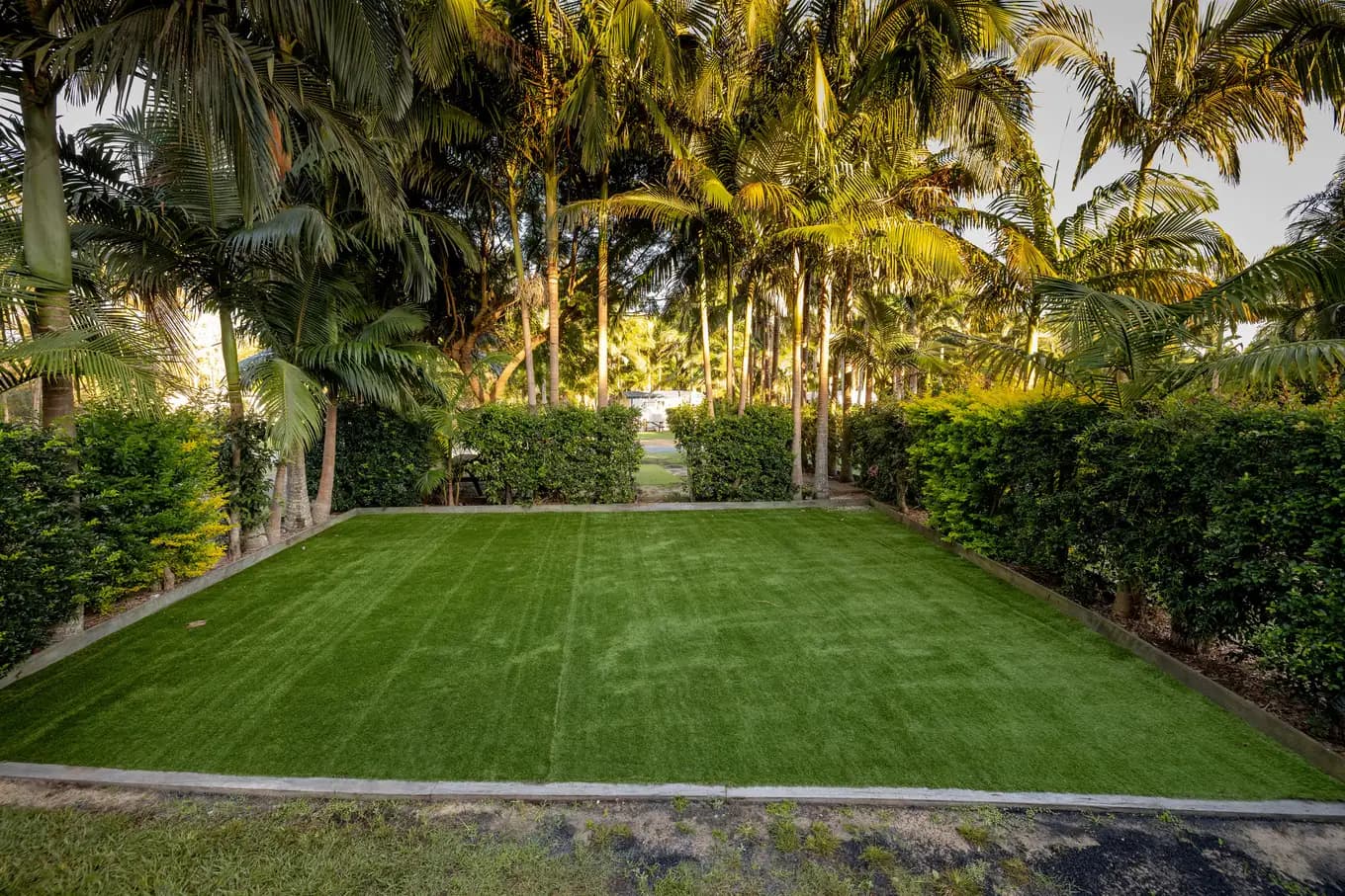 Powered turf site enclosed by clipped hedges on both sides, with palms overhead catching the late sun.