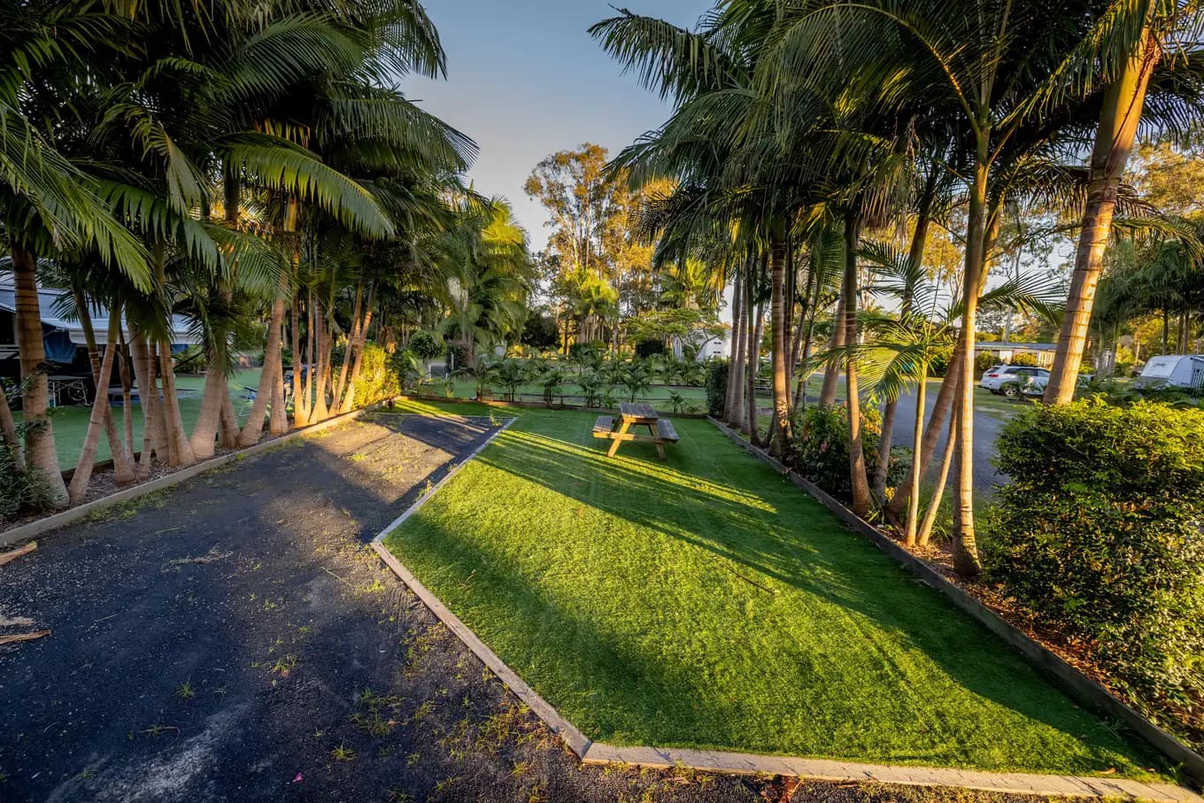 Powered turf site with a picnic table under the palms and a bitumen driveway running alongside.