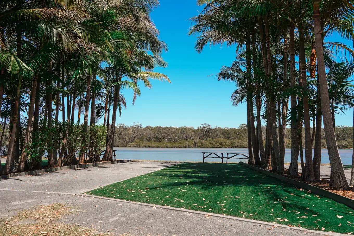 Palm-lined premium river site, with a green turf pad, a picnic table at the water edge and the Wooli Wooli River beyond.